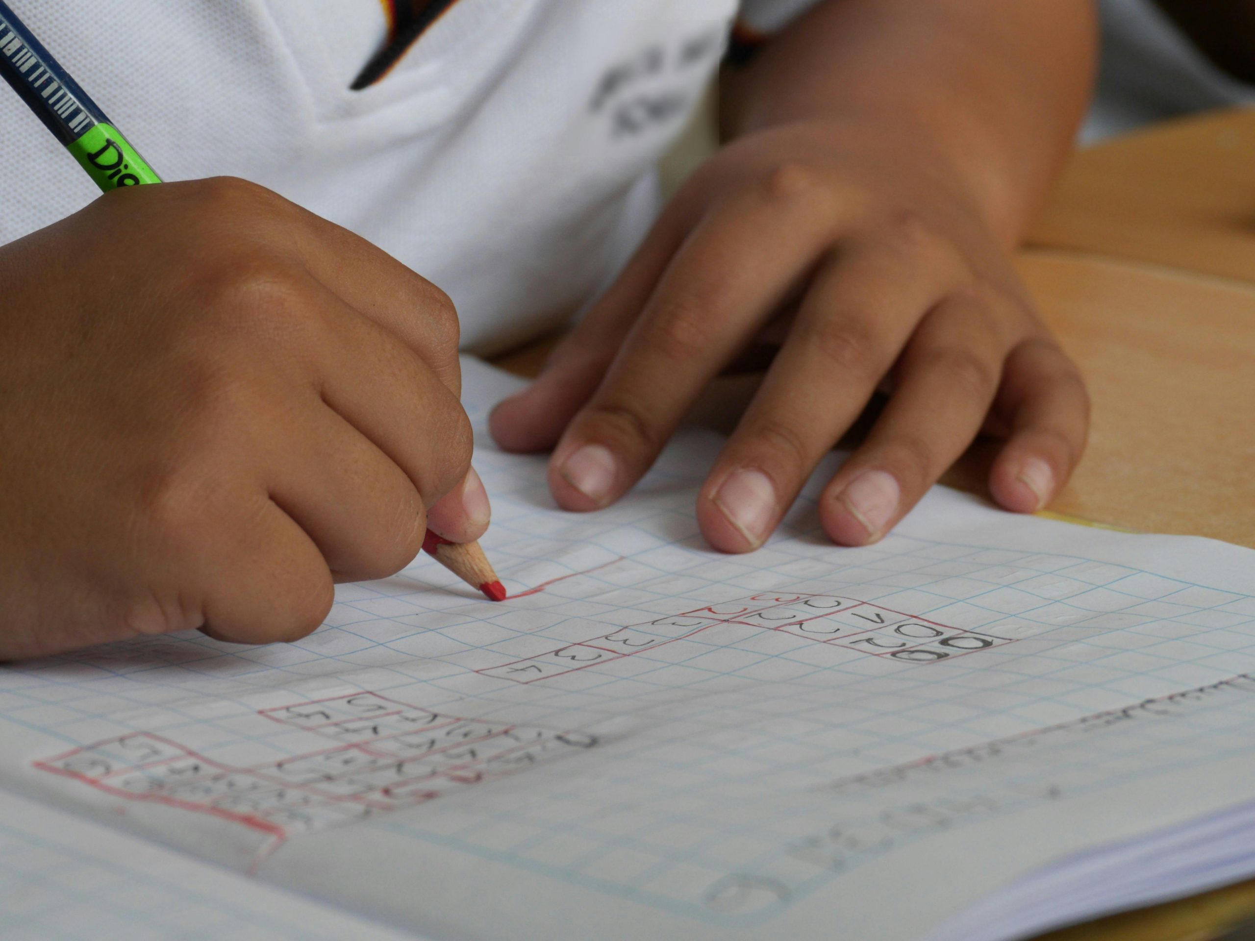 LA EDUCACIÓN PÚBLICA COMO MOTOR DE CAMBIO SOCIAL